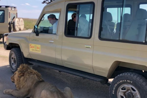 Ngorongoro Crater in Tanzania