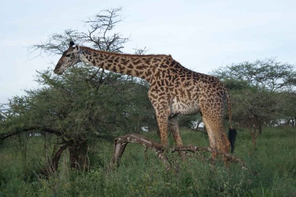 Arusha-Np-with-Samora-Explorers
