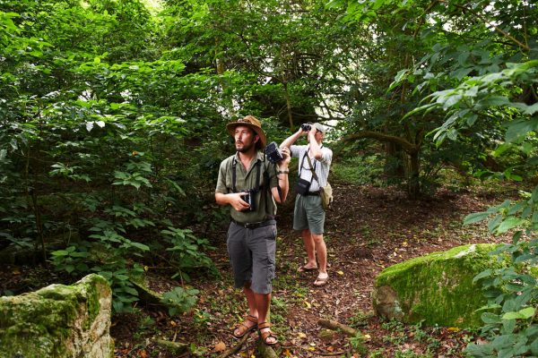 Forest_walk-rubondo