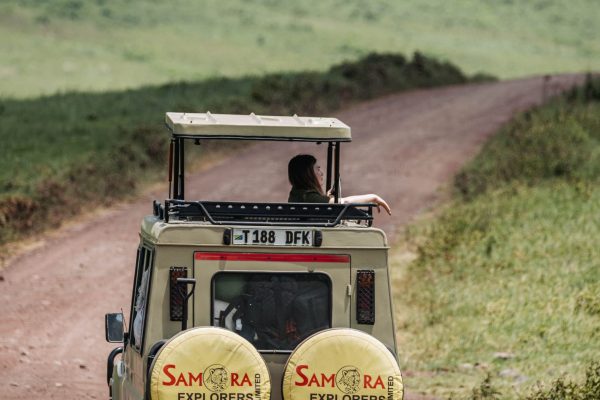 Book Tanzania Safari