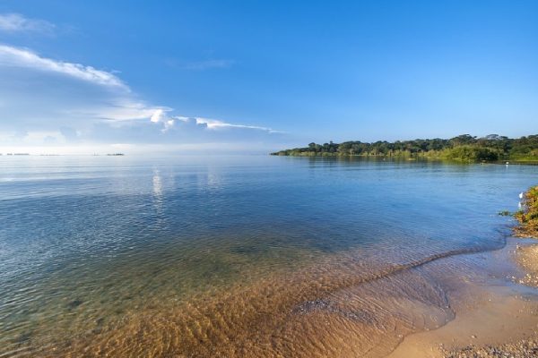 Saanane Island