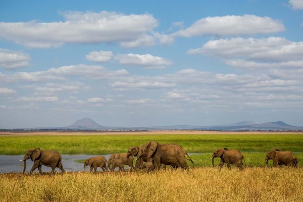 Tarangire National Park