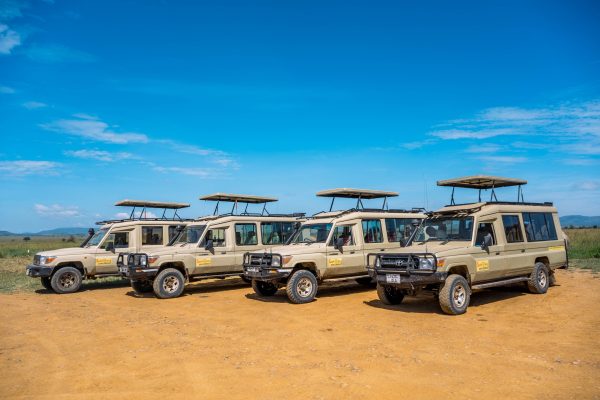 Our Safari Jeep