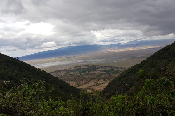 ngorongoro-crater-with-Samora-Explorers-Ltd