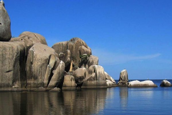 saa-nane-national-park
